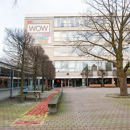 Wow Hostel