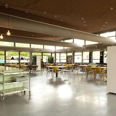 Wow Albergue