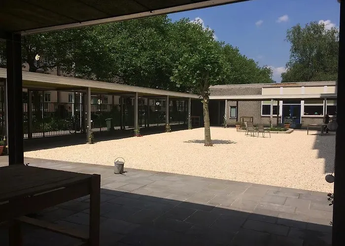 Wow * Амстердам